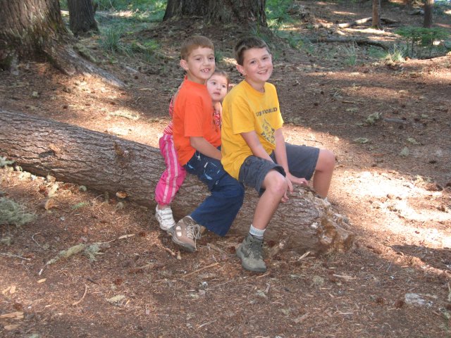 8.26-27.06 Twin Lakes & Palmateer Point 121 